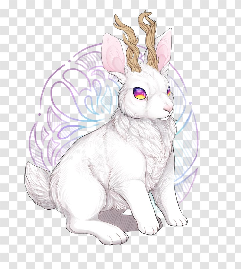 Whiskers Domestic Rabbit Easter Bunny Hare Cat - Flower Transparent PNG
