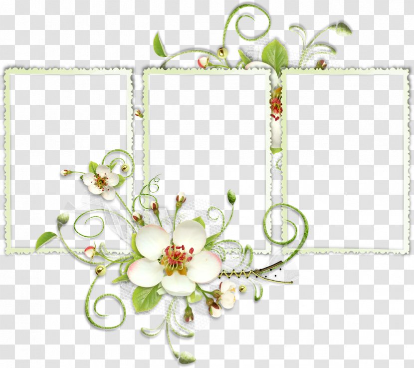 Flower Floral Design Clip Art Transparent PNG