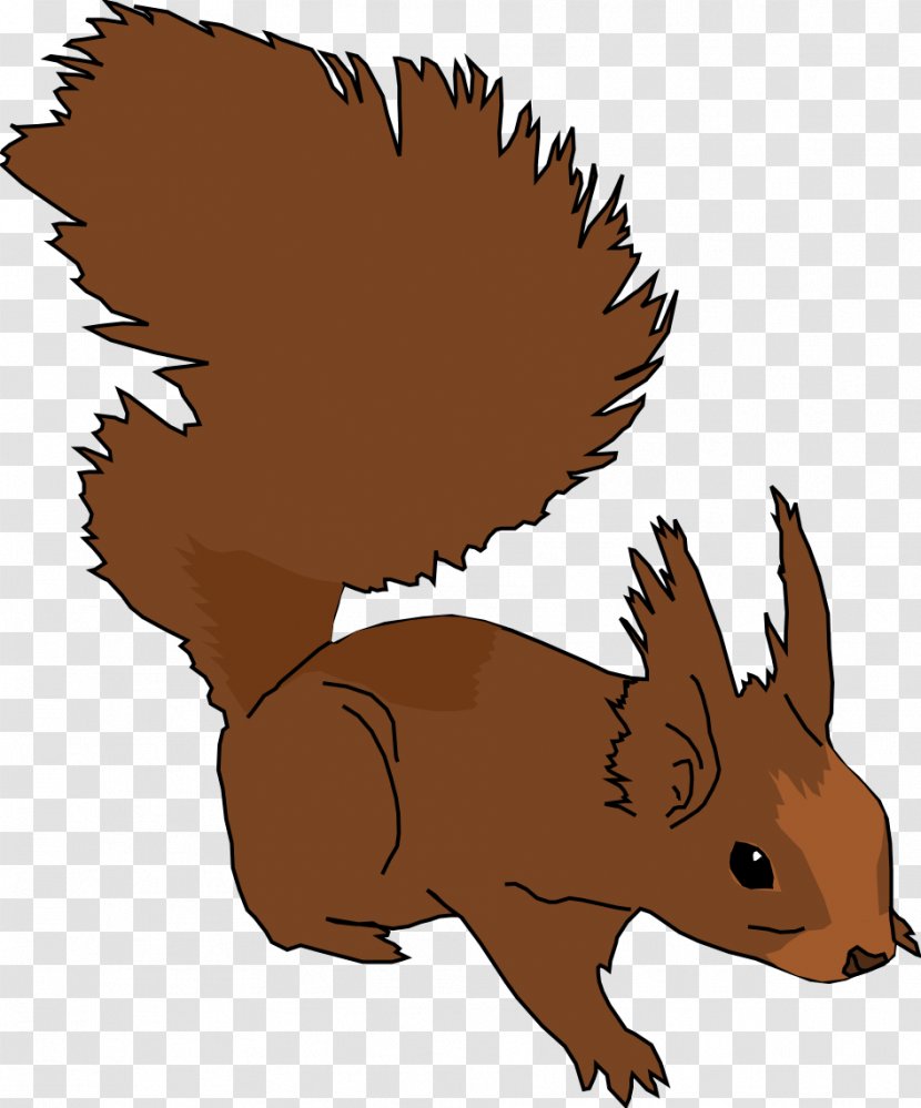 Squirrel Clip Art - Mammal Transparent PNG