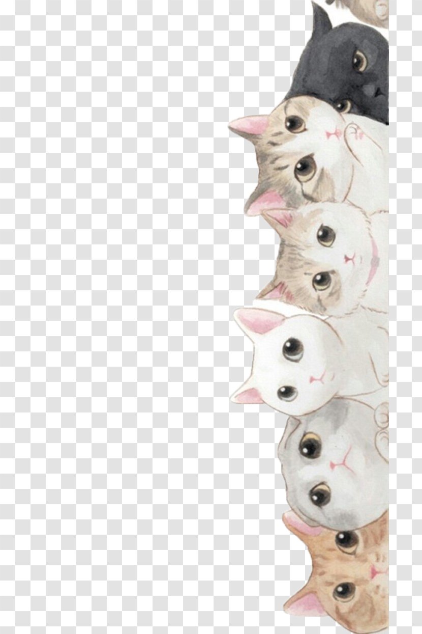 Cat Wallpapers Kitten Puppy Cuteness - Pet - Cute Transparent PNG