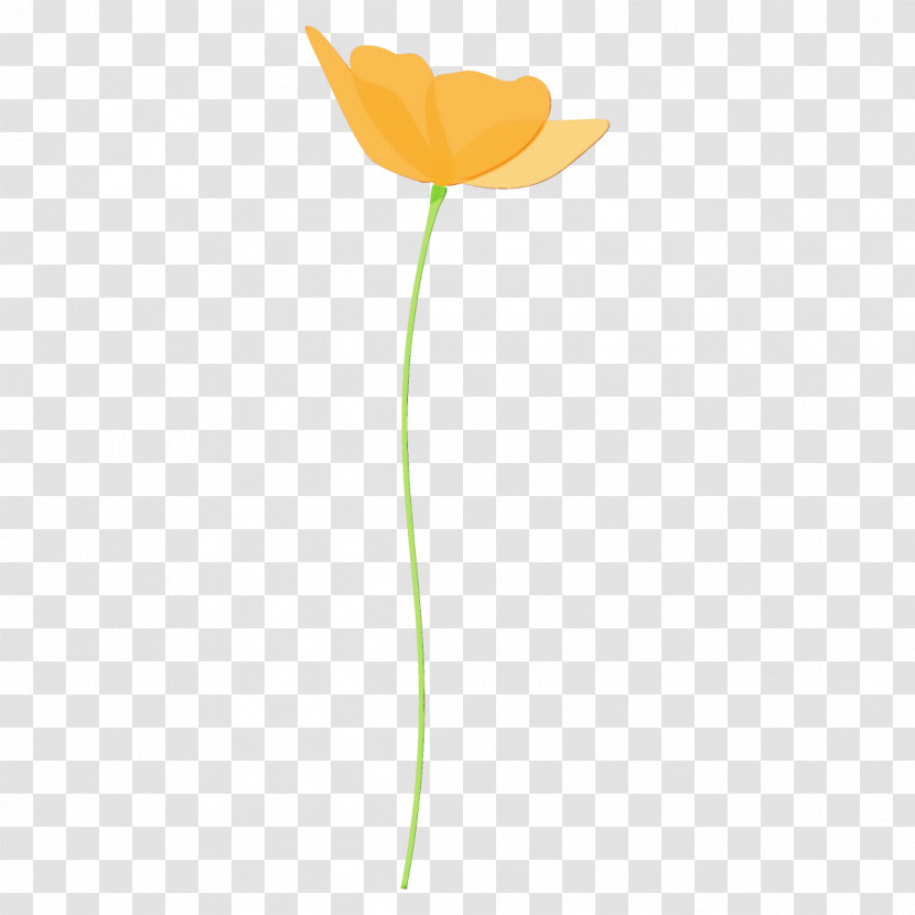 Orange Transparent PNG