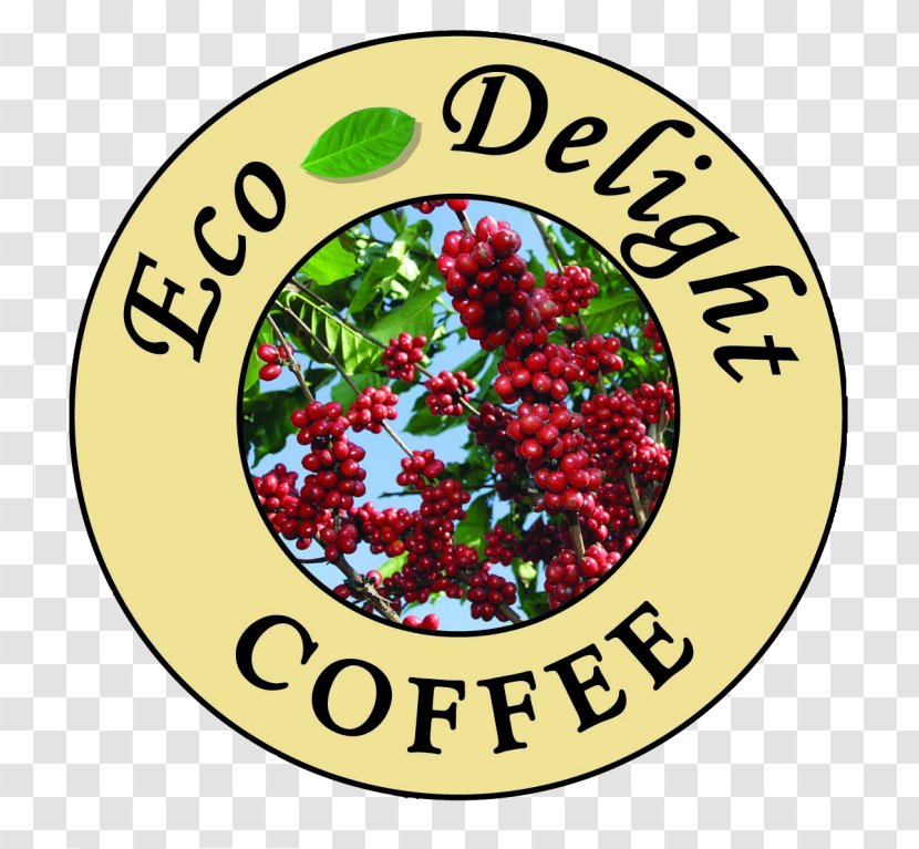 Eco-Delight Coffee Roasting Company Matagalpa, Nicaragua Tarrazú Jinotega - Food Transparent PNG