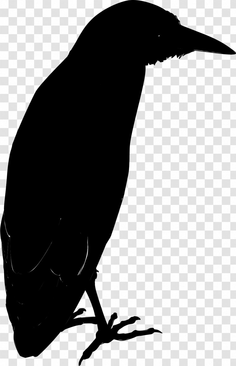 American Crow New Caledonian Common Raven - Beak Transparent PNG
