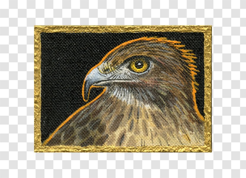 Bald Eagle Riverstone Gallery Bird Hawk - Rectangle - Earth Tones Transparent PNG