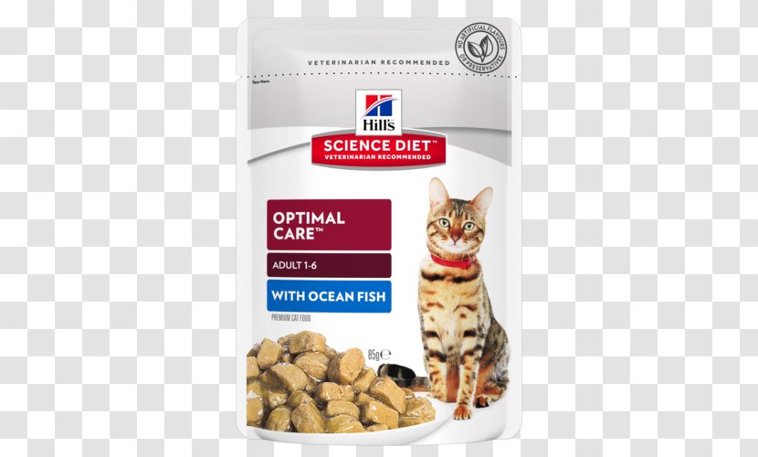 Cat Food Kitten Felidae Science Diet Transparent PNG