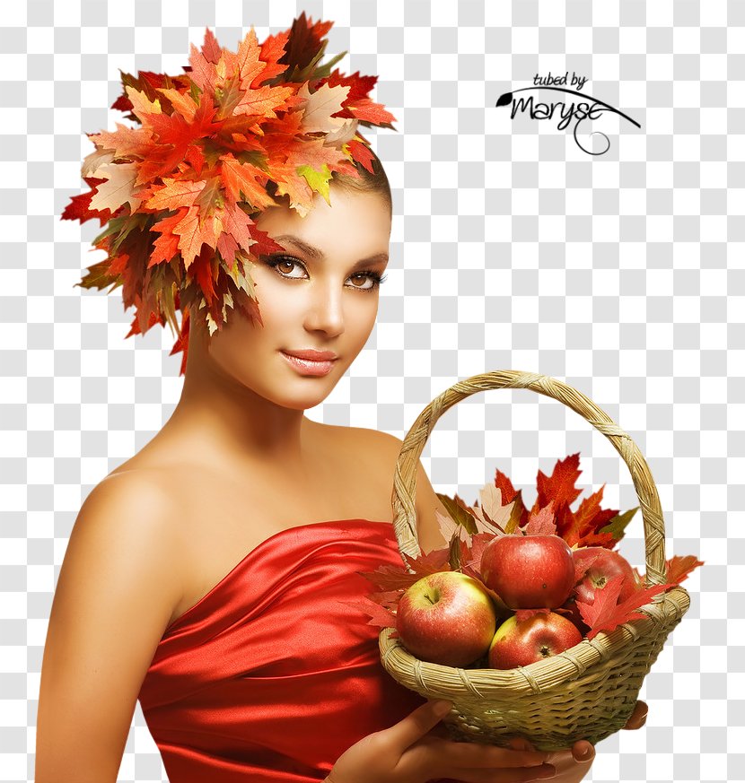Stock Photography Autumn Royalty-free - Royaltyfree - Tube Transparent PNG