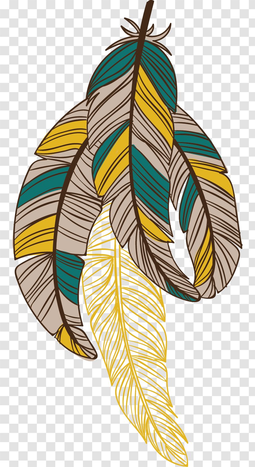 Feather Bird Euclidean Vector Drawing - Pollinator - Painted Feathers Transparent PNG