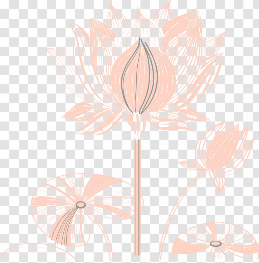 Flora Art Petal Pattern - Lotus Line Transparent PNG
