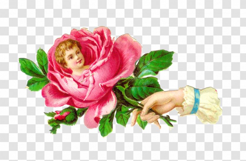 Victorian Era Poetry Of Flowers Rose Clip Art - Pink - Flower Vintage Transparent PNG