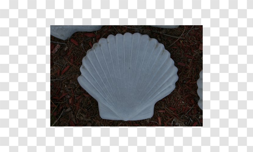 Concrete Shell Rock Cement Scallop - Vegetable Wholesale Transparent PNG