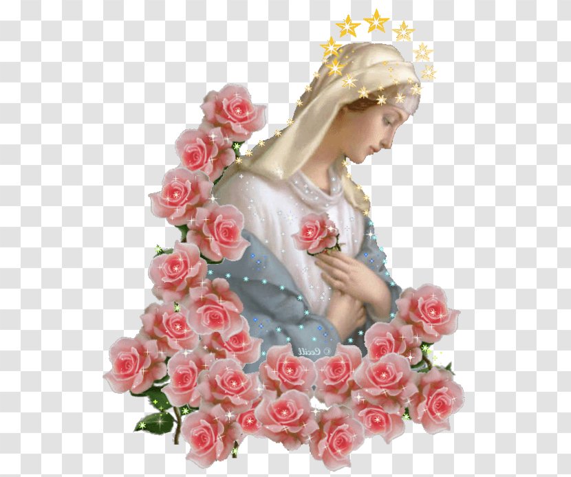 Mary Immaculate Conception Our Lady Mediatrix Of All Graces Ineffabilis Deus Lourdes - Pink Transparent PNG