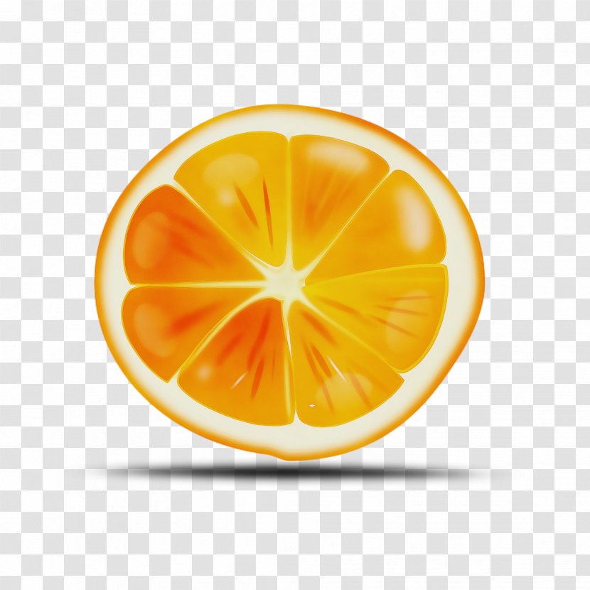 Orange - Plant - Tangerine Transparent PNG