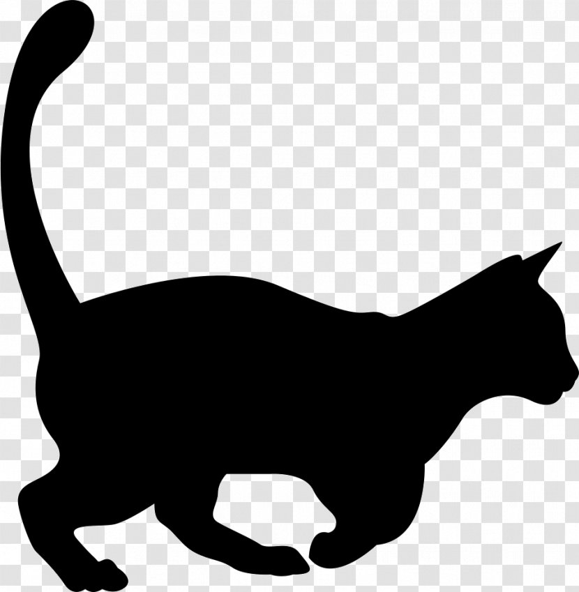 Exotic Shorthair - Kitten - Shape Transparent PNG