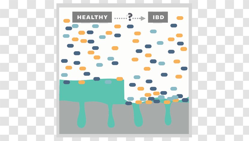 Graphic Design Brand Pattern - Rectangle - Killing Bacteria Transparent PNG