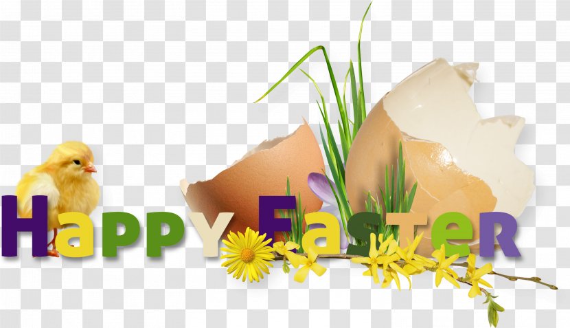 Easter Bunny Gift Christmas - Grass - Happy Transparent PNG