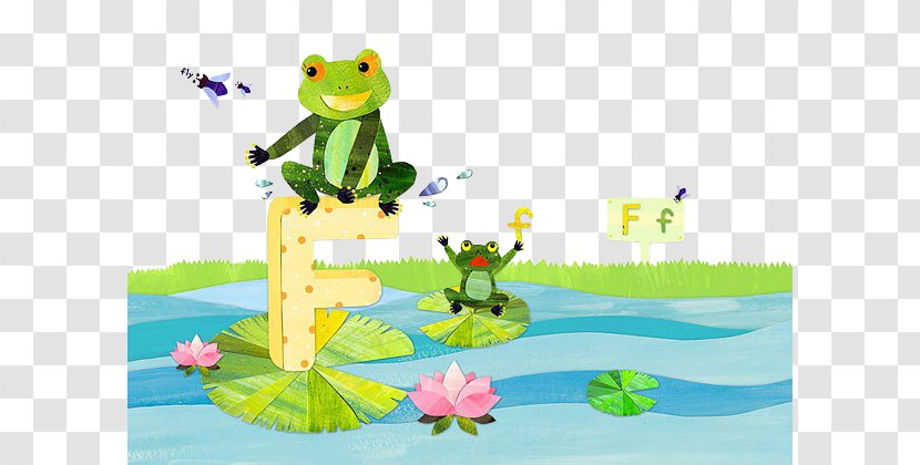 Frog Cartoon Drawing Illustration - Organism - Water Frogs Transparent PNG