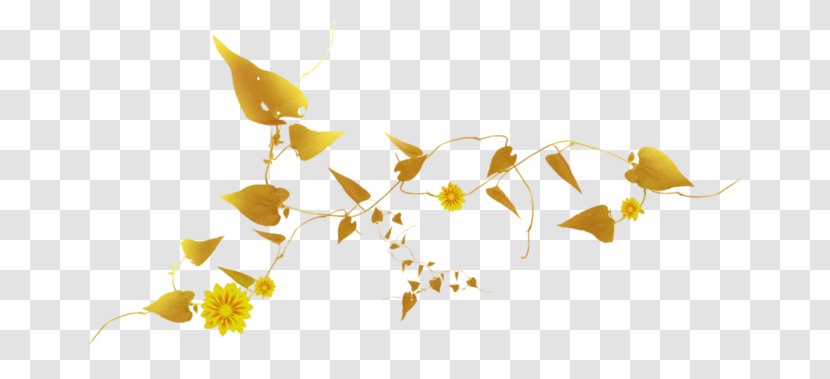 Yellow Drawing White Composition - Organism - Color Transparent PNG