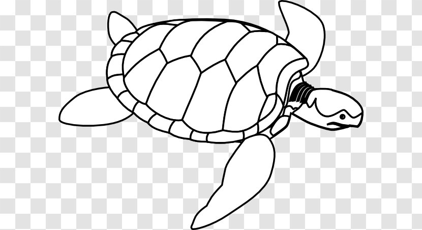 Green Sea Turtle Clip Art - Silhouette - Outline Cliparts Transparent PNG