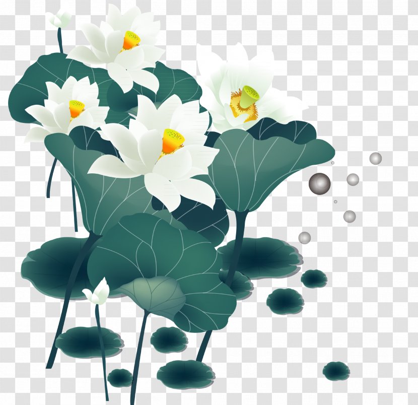 Nelumbo Nucifera Ink Wash Painting - Plant Stem - Chinese Lotus Transparent PNG