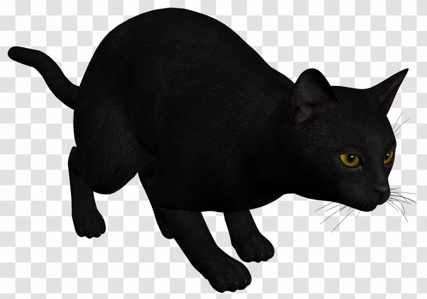 Cat Kitten Drawing Clip Art - Mammal - Black Transparent PNG