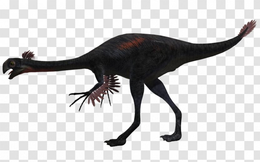Gigantoraptor Velociraptor Kentrosaurus Dinosaur Animal - Planet Transparent PNG