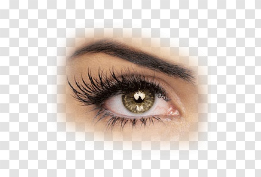 Eyelash Extensions Beauty Parlour Artificial Hair Integrations Hairstyle - Contact Lens - Eyelashes Transparent PNG