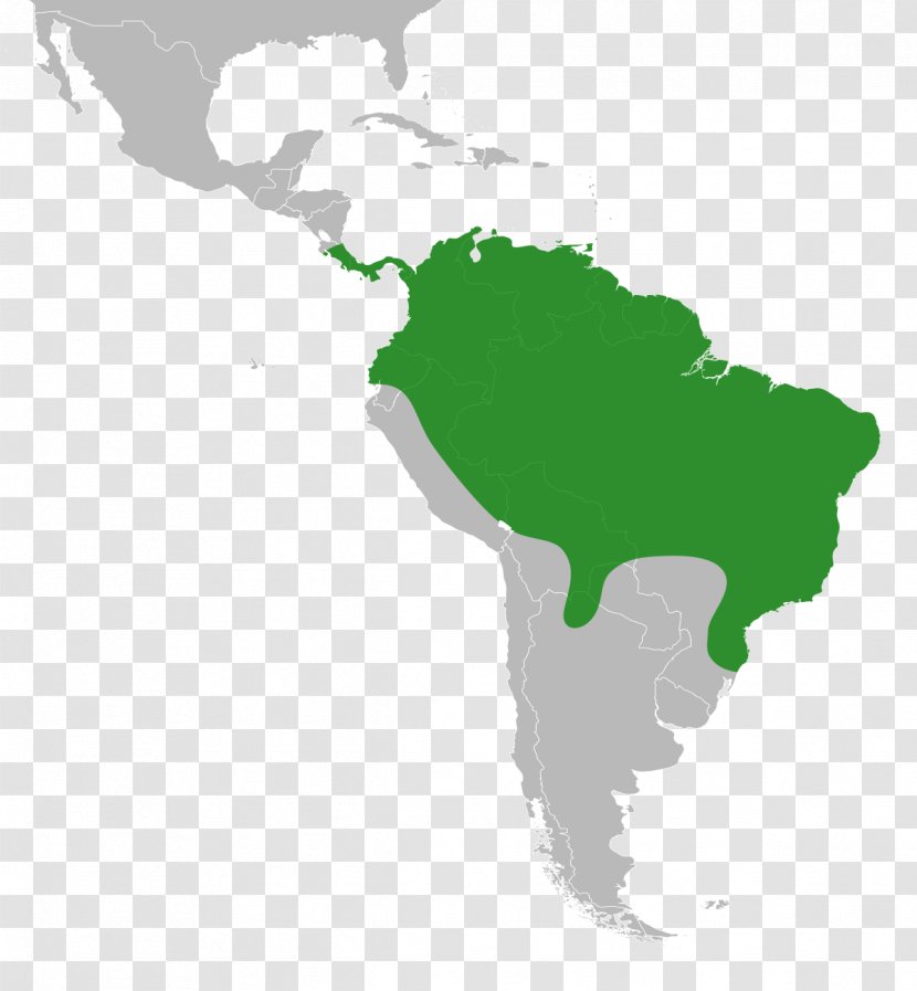 Latin American Wars Of Independence South America World Map Transparent PNG