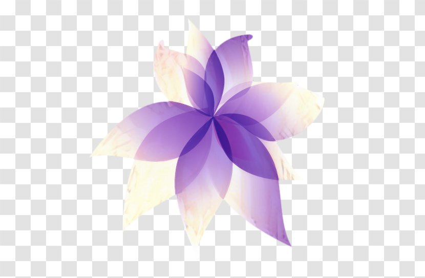 Frangipani Flower - Wheel - Morning Glory Transparent PNG
