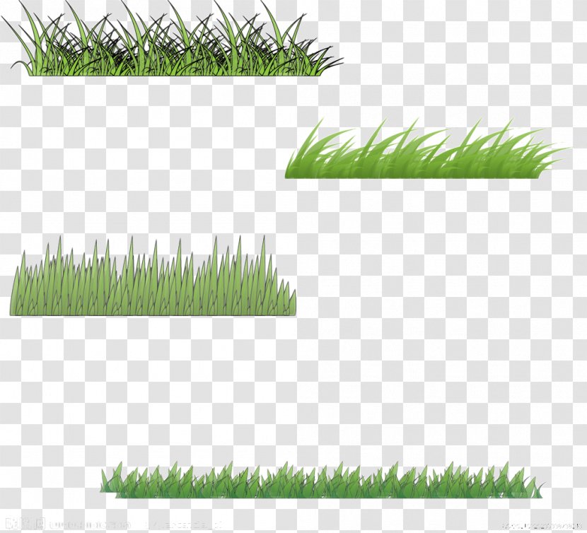 Motif Euclidean Vector - Nature - Four Kinds Of Grass To Pull Free Image Transparent PNG