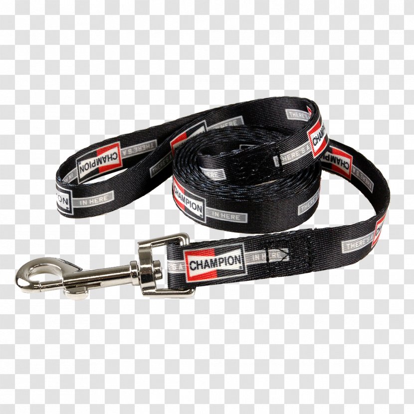 Leash Dog Collar Champion - Under Armour - Lead Transparent PNG