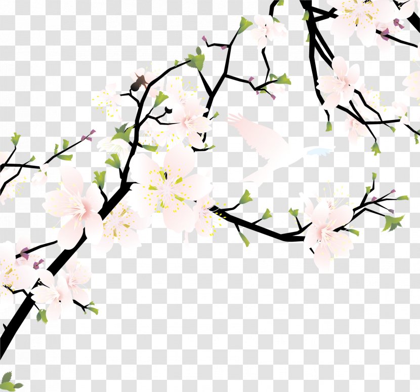Cherry Blossom Flower Illustration - Prunus Padus - Pink White Fresh Peach Branches Transparent PNG