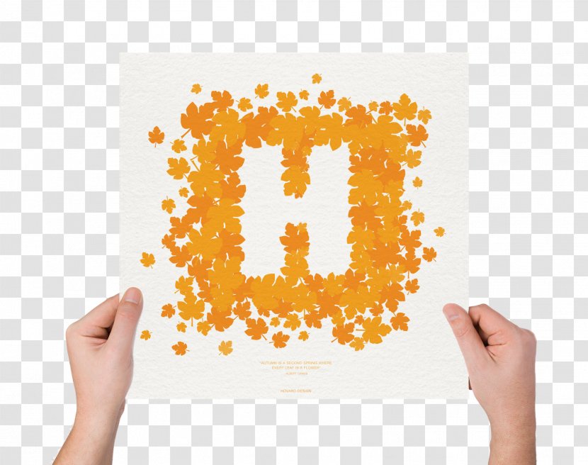 Brand Font - Orange Transparent PNG
