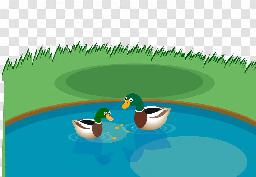 Swim, Duck, Swim! Cartoon Illustration - Vertebrate - Vector Ducks Swim Material Transparent PNG