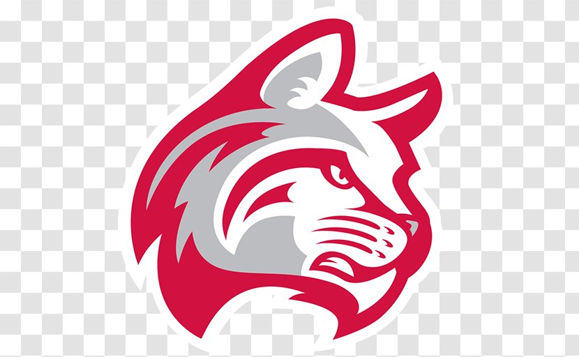 Indiana Wesleyan University Taylor Wesley Seminary Wildcats Women's Basketball - Student Transparent PNG