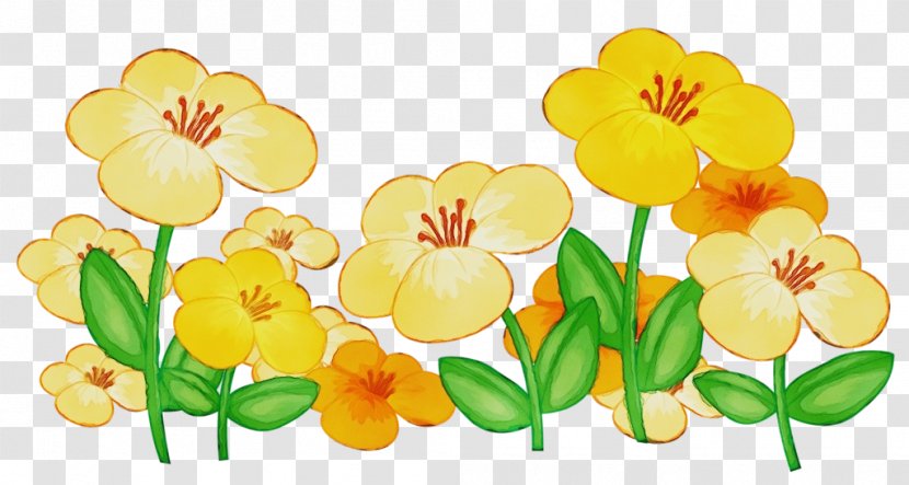 Watercolor Flower Background - Blog - Narcissus Wildflower Transparent PNG