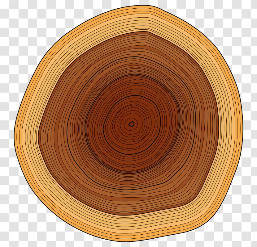 Wood Lumberjack Tree Stump Clip Art - Platter - Love Transparent PNG