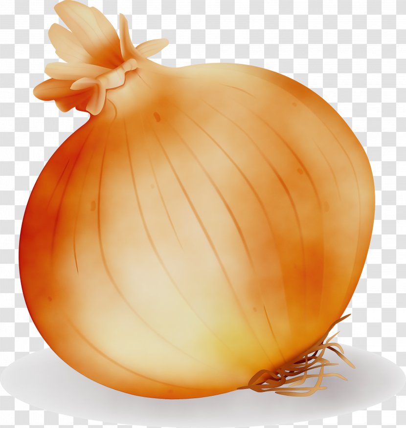 Yellow Onion Vegetable Food Allium - Shallot - Amaryllis Family Pearl Transparent PNG