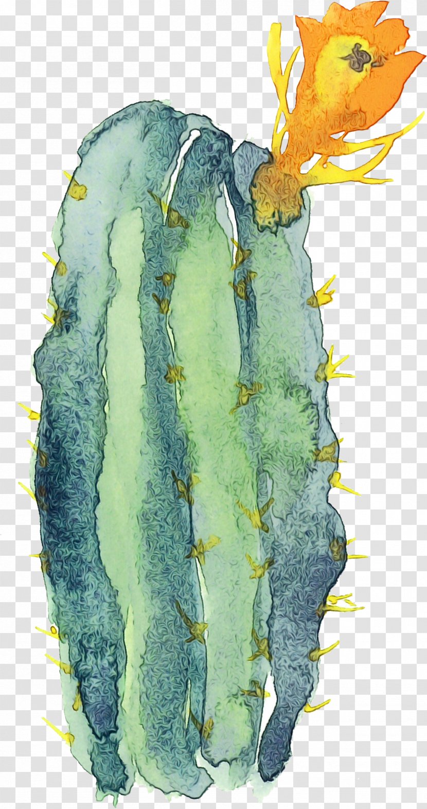 Cactus - Flower - Watercolor Paint Transparent PNG