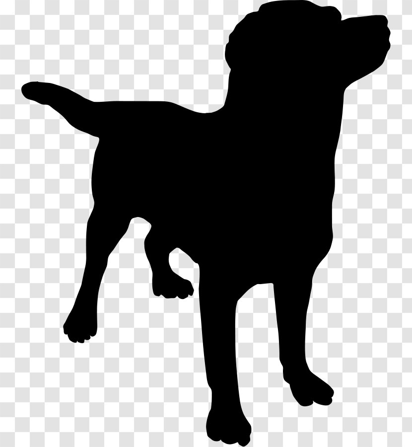 Labrador Retriever Puppy Curtain Clip Art - Dog Breed Transparent PNG