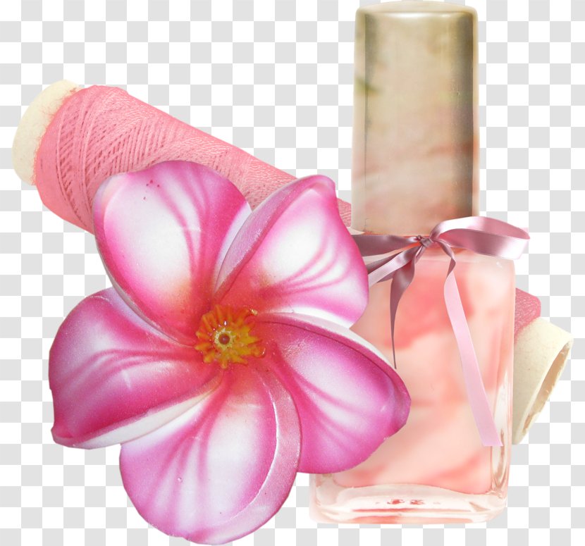 Cosmetic Flower - Pink - Cosmetics Transparent PNG