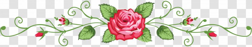 Floral Design Cut Flowers Rose Font - Flower Transparent PNG