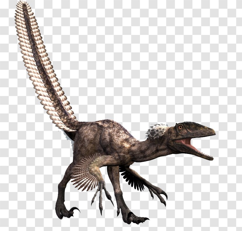 Deinonychus Dromaeosaurus Tyrannosaurus Allosaurus Spinosaurus - Giganotosaurus - Dinosaurs Transparent PNG
