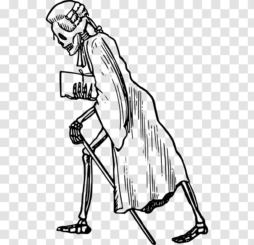 Homo Sapiens Lawyer Clip Art - Vertebrate Transparent PNG