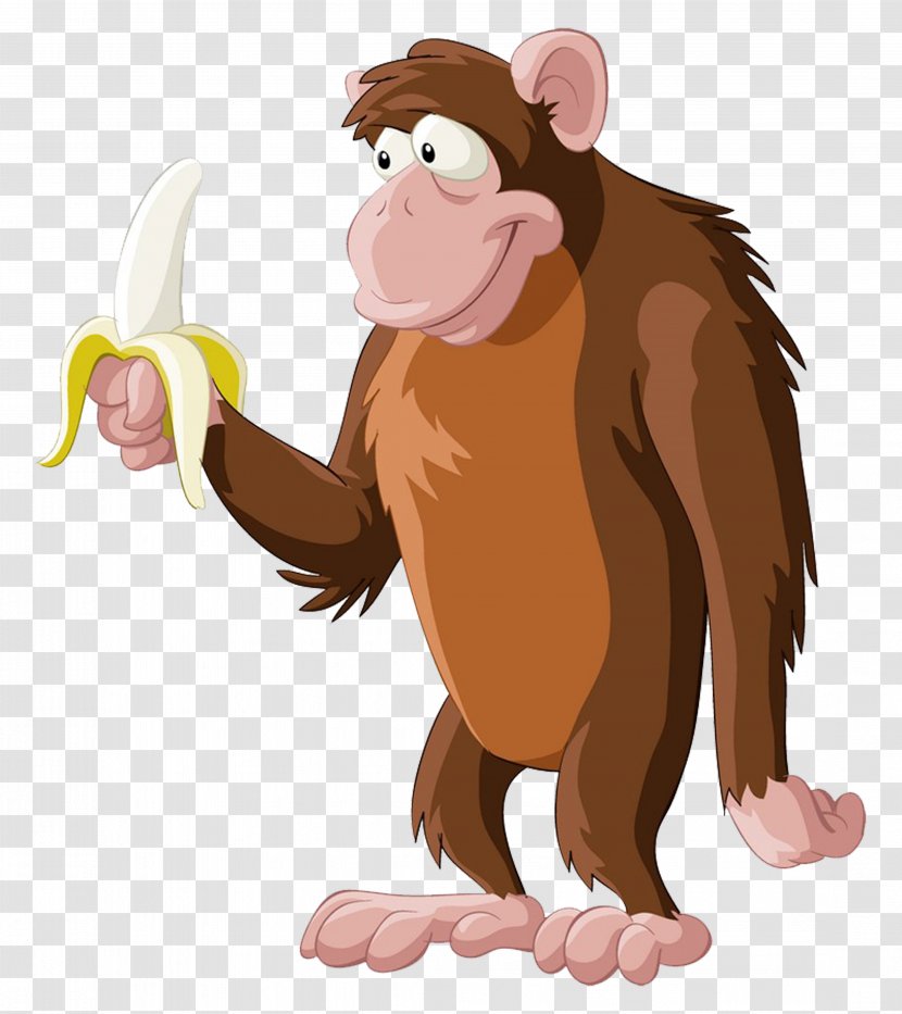 Chimpanzee Primate Monkey Banana - Little Transparent PNG