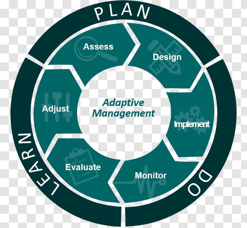 Communication United States Of America Policy Organization Decision-making - Strategic Management - Adapted PE Negative Transparent PNG