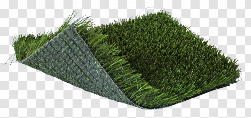 Artificial Turf Lawn Landscaping Garden Backyard - Paspalum Vaginatum Transparent PNG