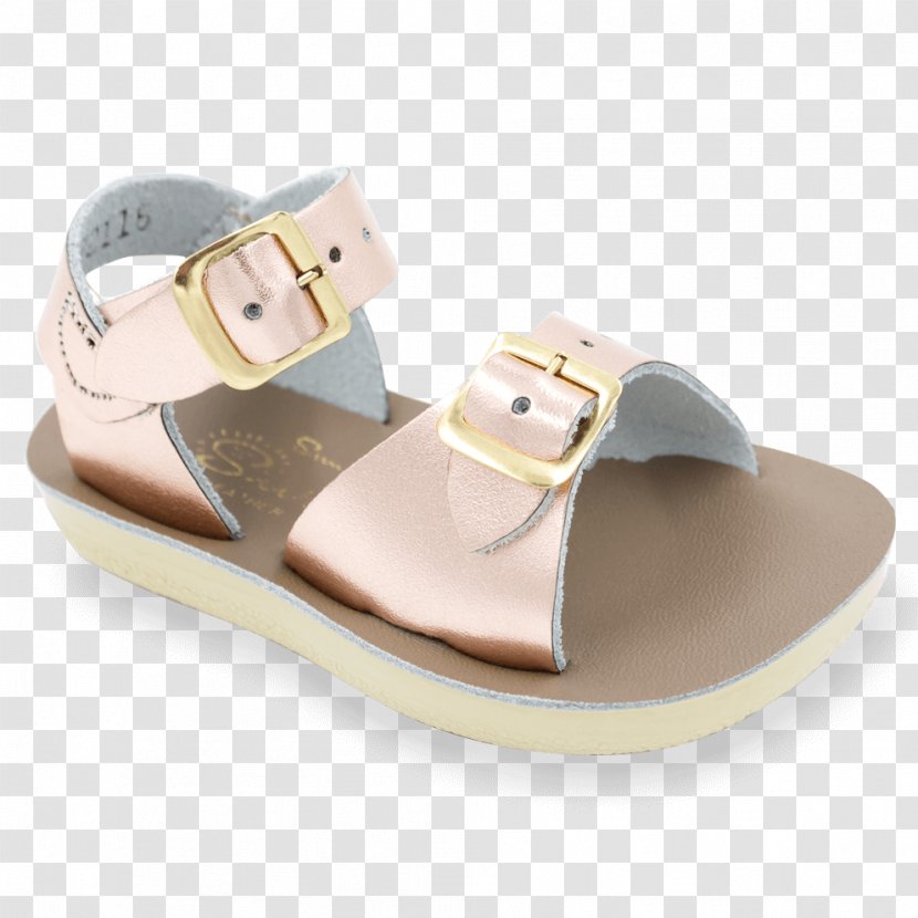 Saltwater Sandals Shoe Clothing Flip-flops - Flipflops - Sandal Transparent PNG