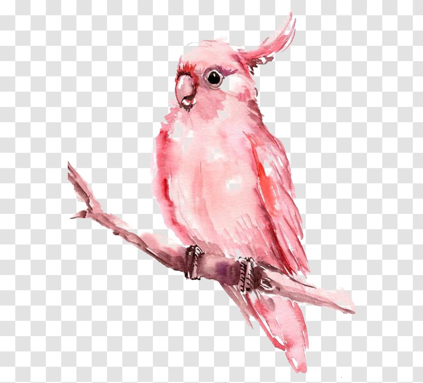 Watercolor Painting AllPosters.com Illustration - Ink Wash - Parrot Transparent PNG