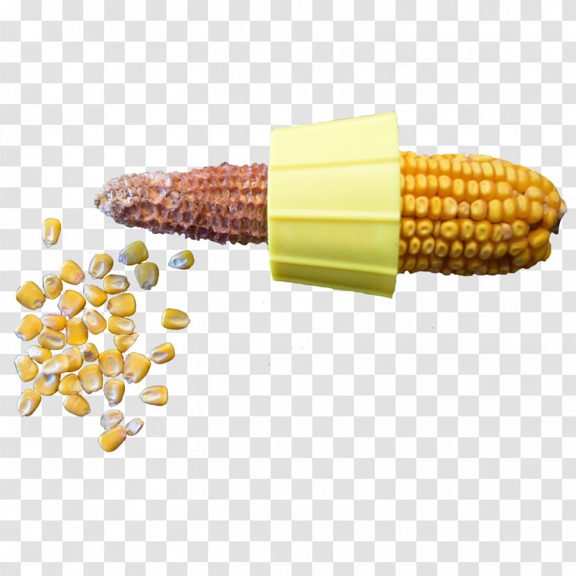 Corn On The Cob Field Maize Kernel - Manufacturing - Kernels Transparent PNG