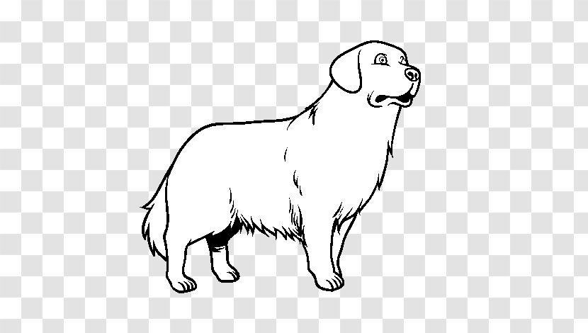 Golden Retriever Puppy Coloring Book Colouring Pages - Organism Transparent PNG